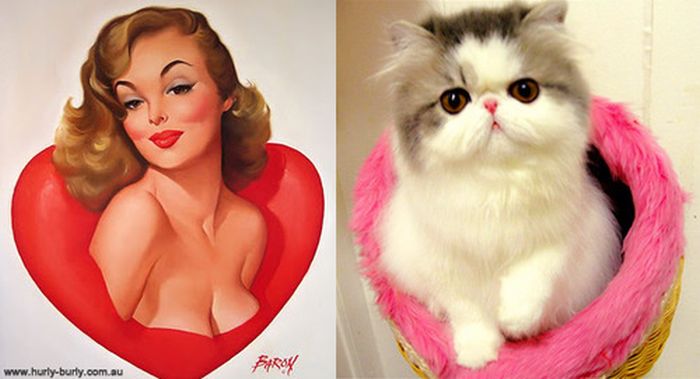 Cats That Look Like Pin Up Girls (55 pics)