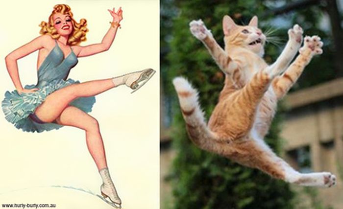Cats That Look Like Pin Up Girls (55 pics)