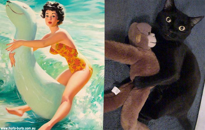 Cats That Look Like Pin Up Girls (55 pics)