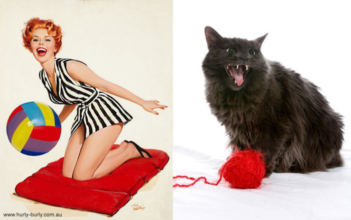 Cats That Look Like Pin Up Girls (55 pics)