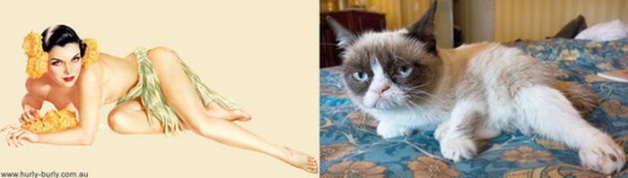 Cats That Look Like Pin Up Girls (55 pics)