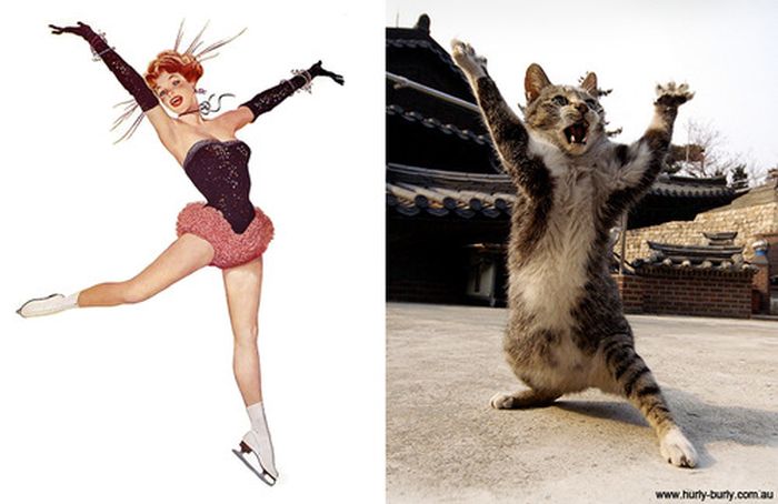Cats That Look Like Pin Up Girls (55 pics)