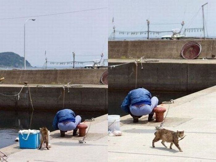Awesome Photos. Part 15 (47 pics)