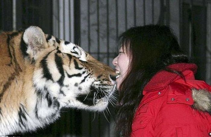 Awesome Photos. Part 15 (47 pics)