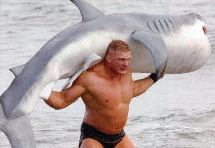 Awesome Photos. Part 15 (47 pics)