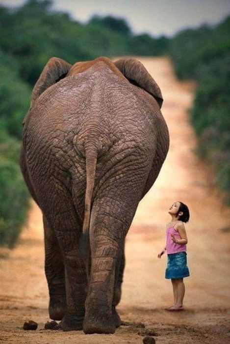 Awesome Photos. Part 15 (47 pics)