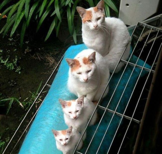 Awesome Photos. Part 15 (47 pics)
