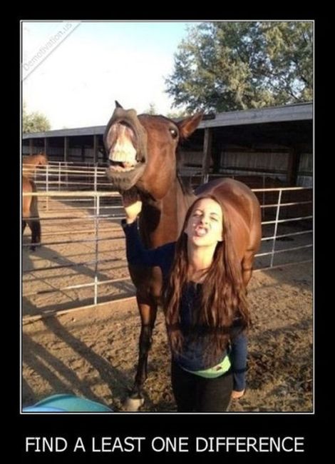 Funny Demotivational Posters (37 pics)