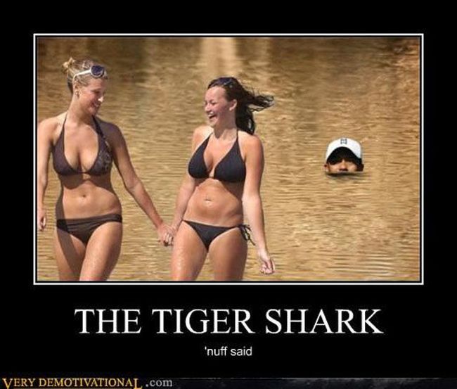 Funny Demotivational Posters (37 pics)