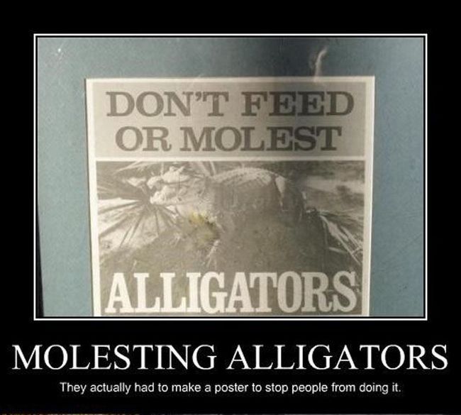 Funny Demotivational Posters (37 pics)