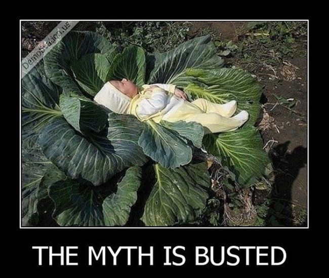 Funny Demotivational Posters (37 pics)