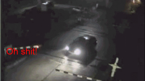 Acid Gifdump (25 gifs)