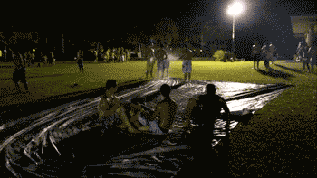 Acid Gifdump (25 gifs)