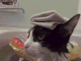 Acid Gifdump (25 gifs)