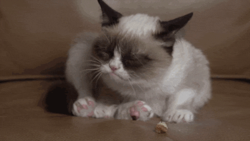 Acid Gifdump (25 gifs)