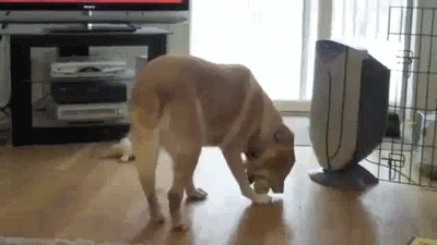 Acid Gifdump (25 gifs)