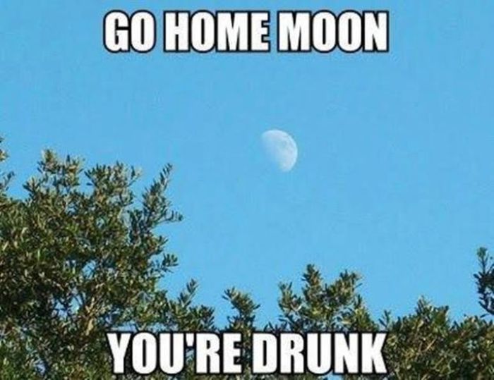 Go Home, You’re Drunk (23 pics)