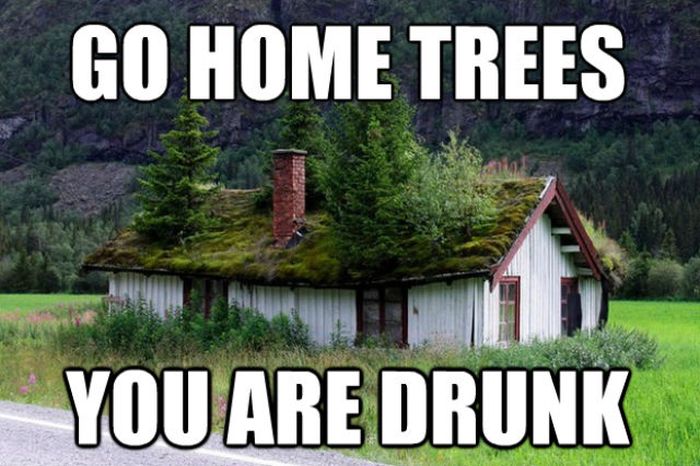 Go Home, You’re Drunk (23 pics)