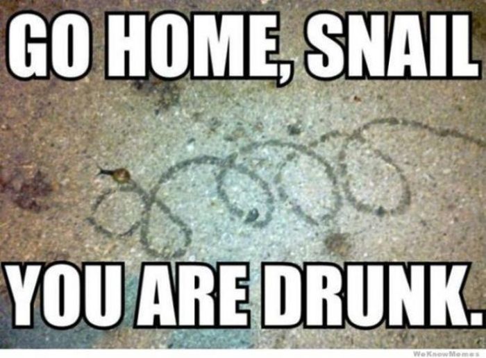 Go Home, You’re Drunk (23 pics)