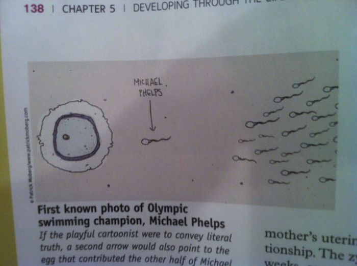 Strange Things In Textbooks (18 pics)
