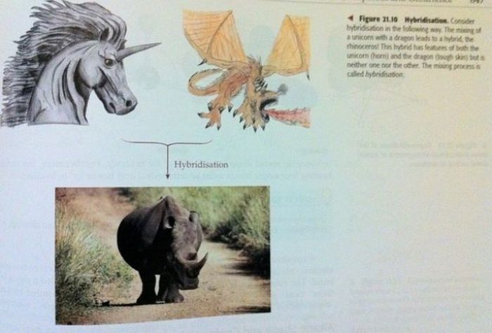 Strange Things In Textbooks (18 pics)