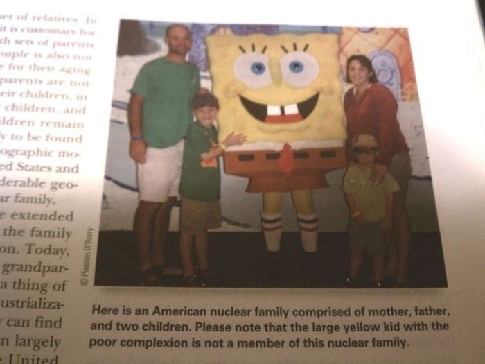Strange Things In Textbooks (18 pics)