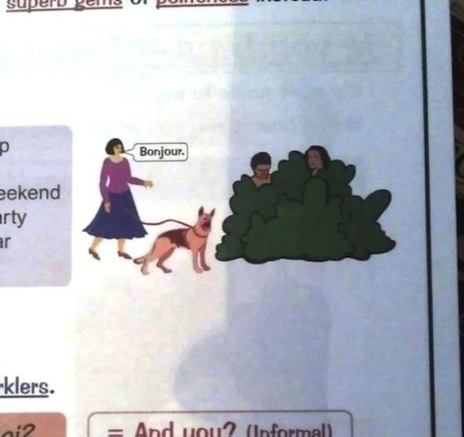 Strange Things In Textbooks (18 pics)