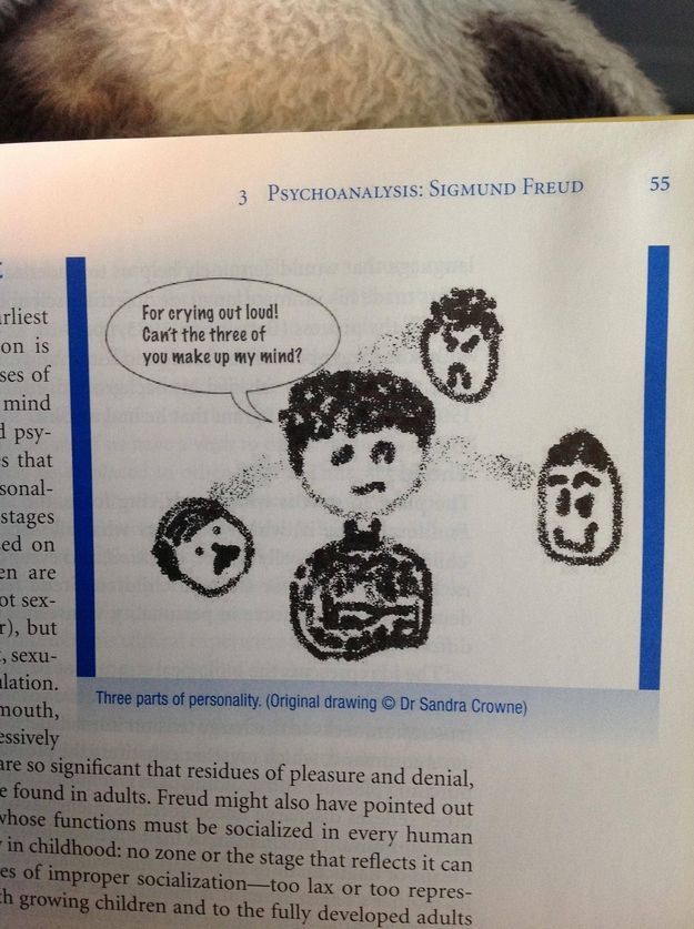 Strange Things In Textbooks (18 pics)