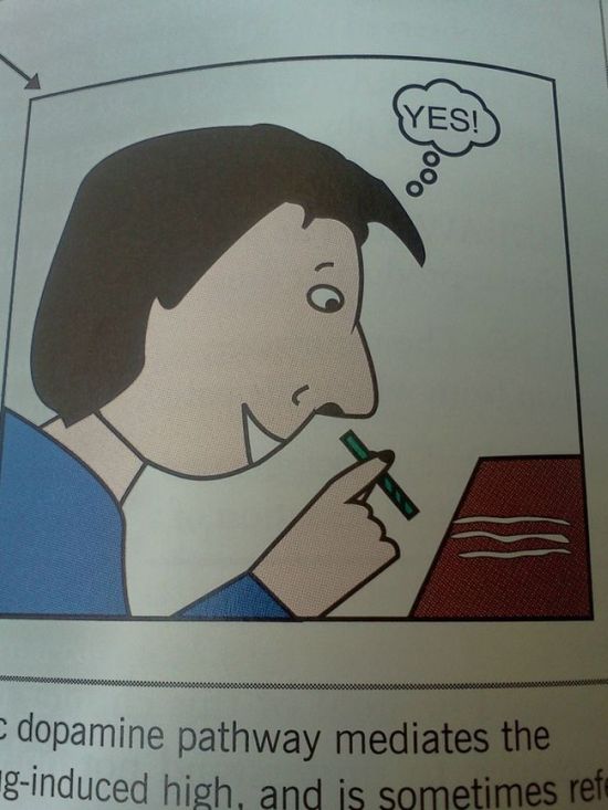 Strange Things In Textbooks (18 pics)