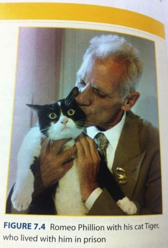 Strange Things In Textbooks (18 pics)