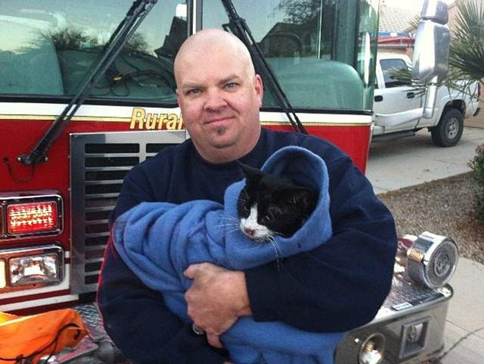 Rescuing a Cat (5 pics)