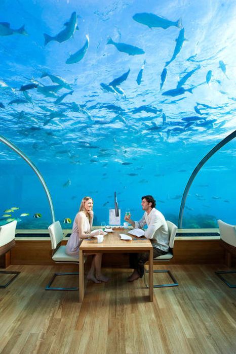 Conrad Maldives Rangali Island Hotel (28 pics)