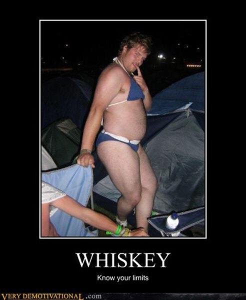 Funny Demotivational Posters (32 pics)