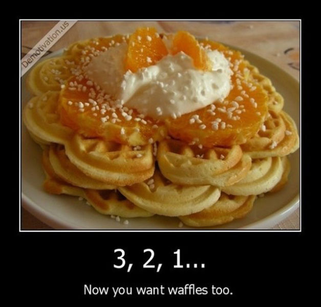 Funny Demotivational Posters (32 pics)