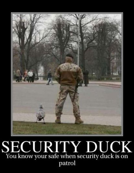 Funny Demotivational Posters (32 pics)