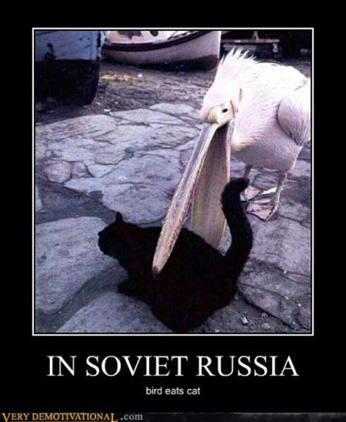 Funny Demotivational Posters (32 pics)