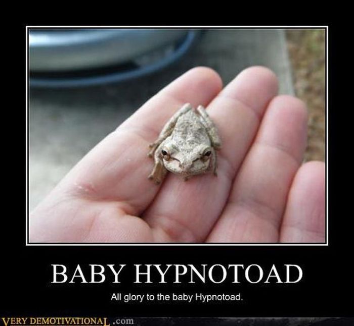 Funny Demotivational Posters (32 pics)