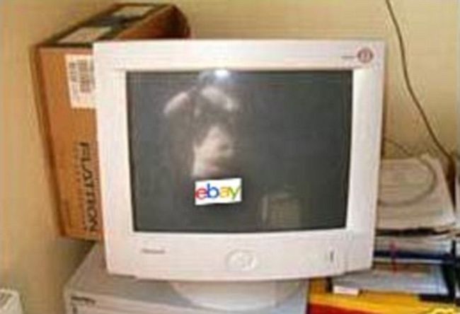 Ebay Sellers Who Showed Too Much (11 pics)