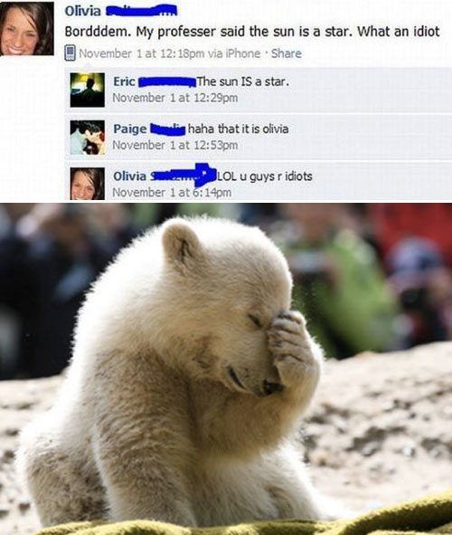 Funny Facepalms Statements (30 pics)