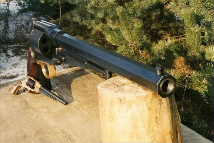 Remington Model 1859 (9 pics)
