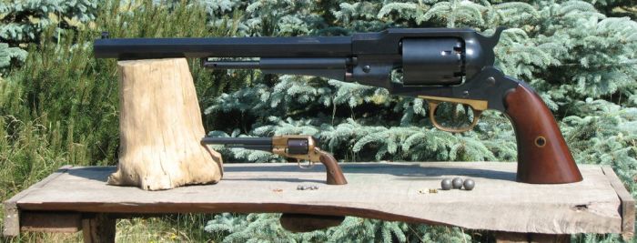 Remington Model 1859 (9 pics)