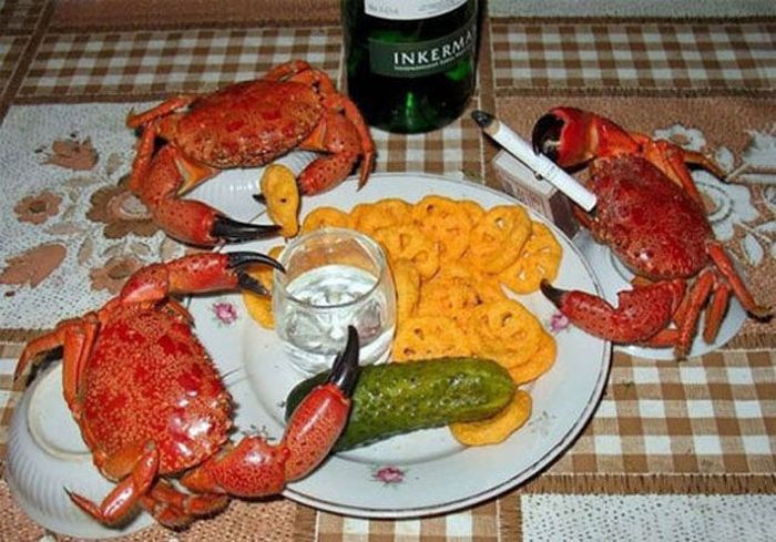Welcome to the Perfect World (60 pics)