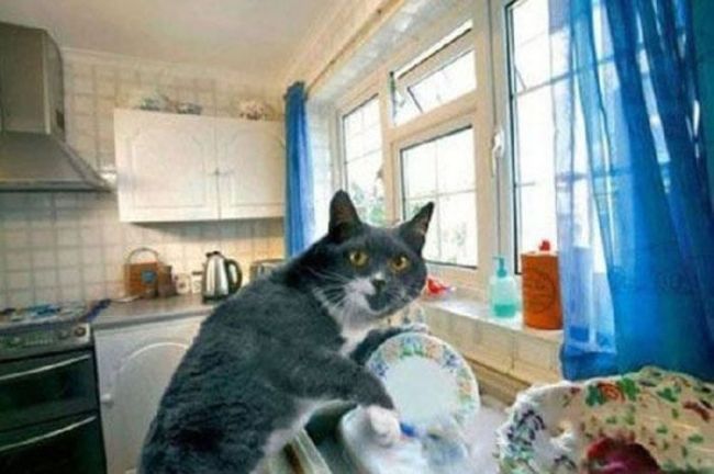 Welcome to the Perfect World (60 pics)
