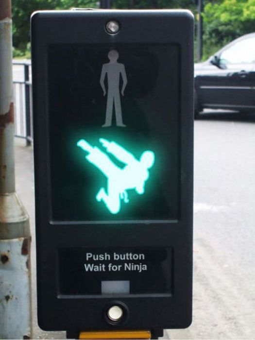 Welcome to the Perfect World (60 pics)
