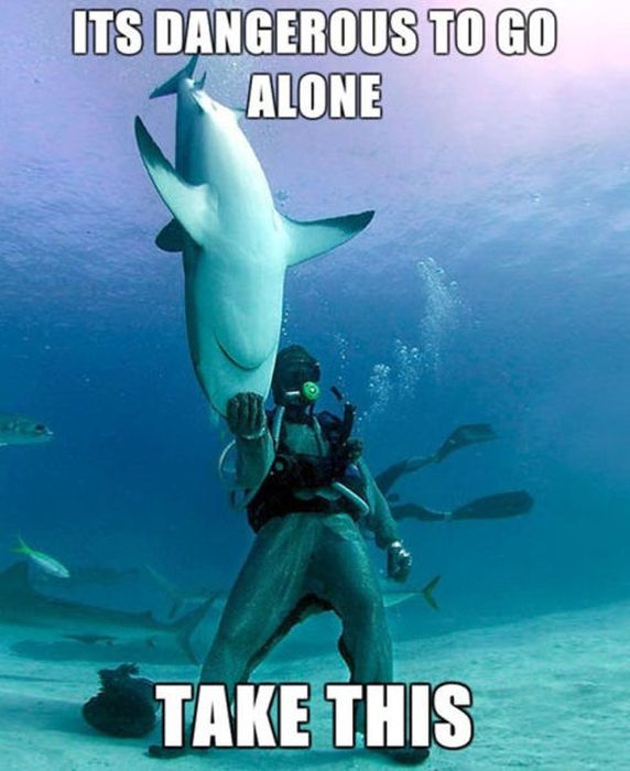 Welcome to the Perfect World (60 pics)
