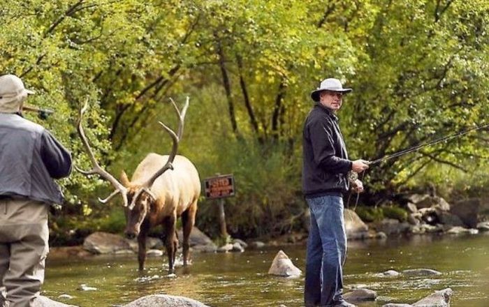 Fishing Fail in Canada (5 pics)