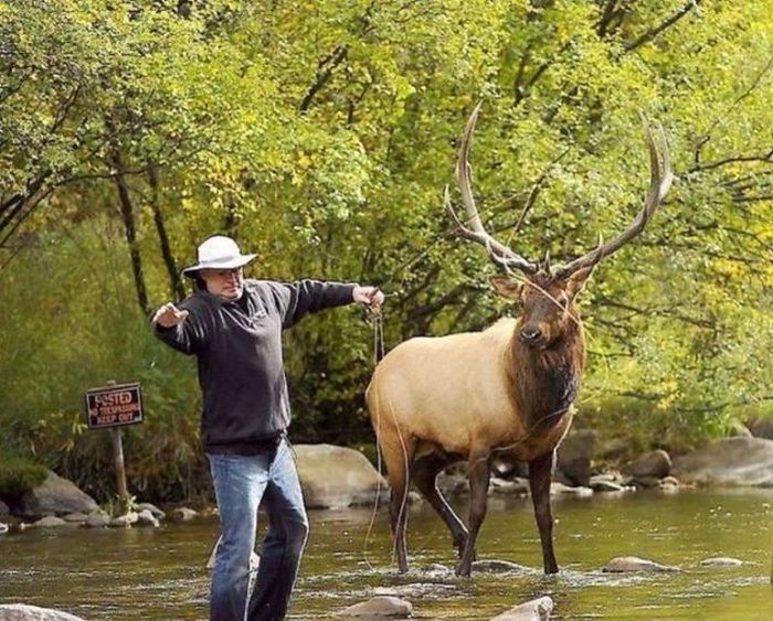 Fishing Fail in Canada (5 pics)