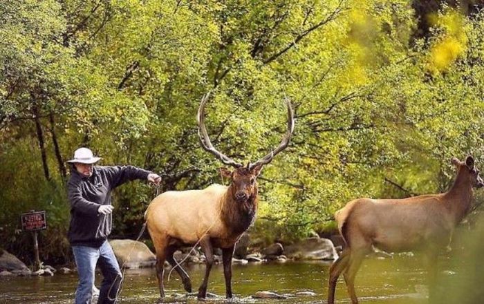 Fishing Fail in Canada (5 pics)