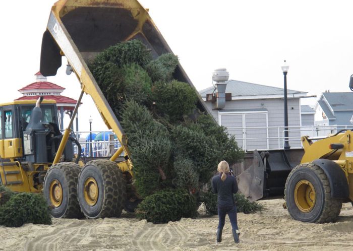 Hurricane Sandy: 80 Days Later (26 pics)