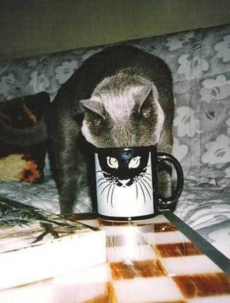 Coincidences (32 pics)